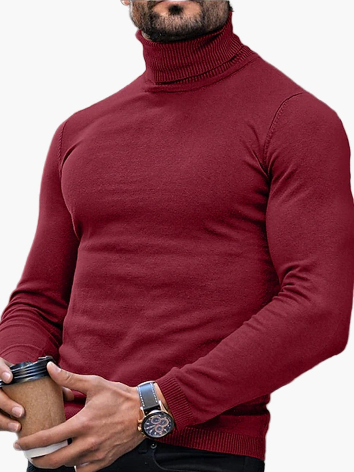 Slim Fit Turtleneck for Men
