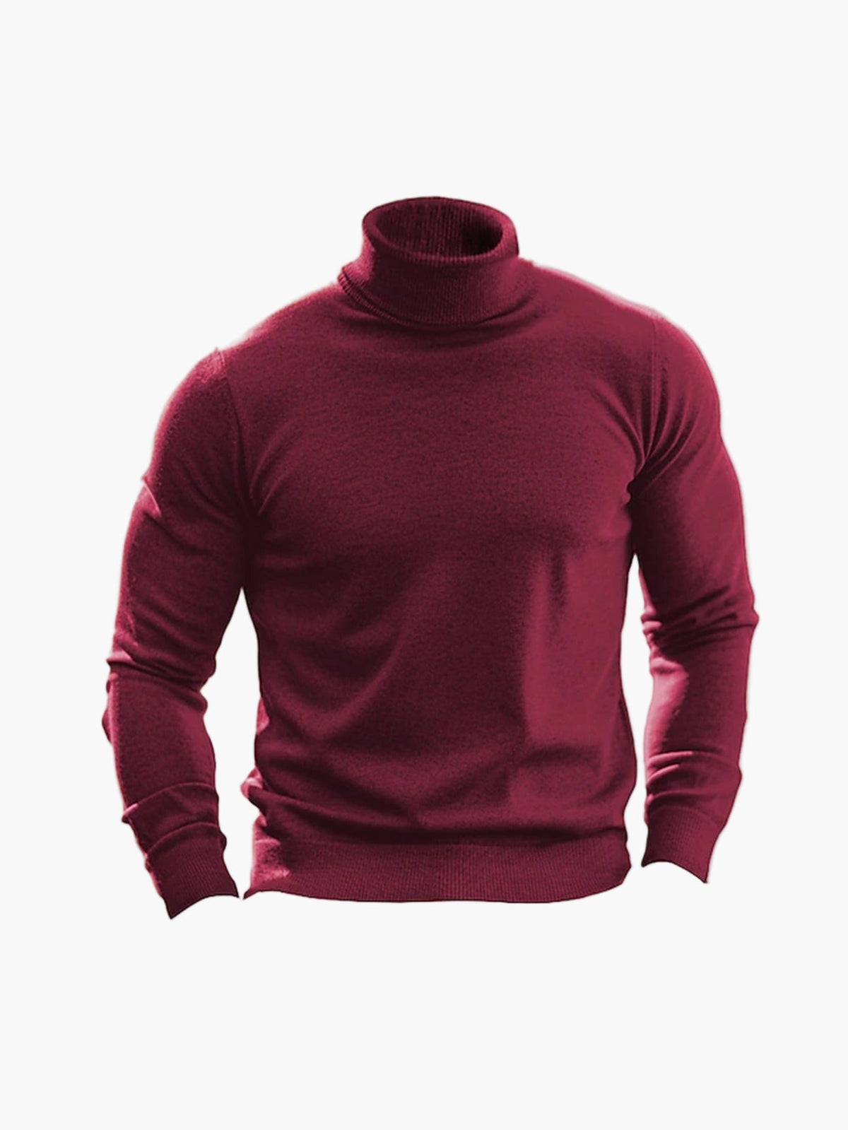 Slim Fit Turtleneck for Men
